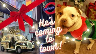 A London Vlogmas Days 4 amp 5 Waitrose Party Food amp Gifts from Santa Paws [upl. by Zebulon]