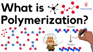 What is Polymerization [upl. by Chelsey95]