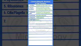 Common eukaryotic organelles and their functions  microbiology biology basicappliedmicrobiology [upl. by Blunt]