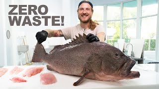 How to Fillet Kitty Mitchell Grouper [upl. by Berstine]