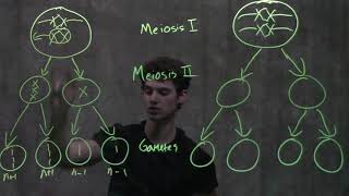 Genetics Nondisjunction amp Meiosis [upl. by Yerffoj]