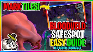 OSRS  How To Safe Spot Bloodvelds In The Catacombs Of Kourend   EVERYTHING YOU NEED TO KNOW [upl. by Seilenna979]