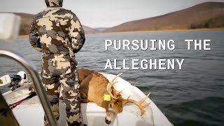 Deer Hunting the Allegheny National Forest Film  PA Public Land [upl. by Amoakuh133]