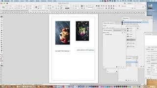 InDesign ridimensionare le immagini in automatico [upl. by Schertz189]