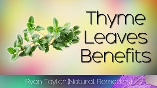 Thyme Leaves Benefits and Uses [upl. by Bertila]