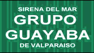 Grupo Guayaba  Sirena Del Mar [upl. by Ynafit119]