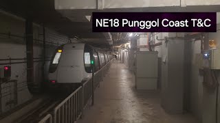 Sunday NE18 Punggol Coast intergration testTampCSBST C751A C751AR and C751C NEL at NE17 Punggol [upl. by Coke364]