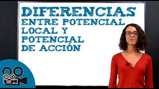 Diferencias entre potencial local y potencial de acción [upl. by Qidas]