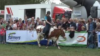 Sfeerimpressie 104e Fokveedag Boerenlandfeest in Hoornaar [upl. by Ivzt]