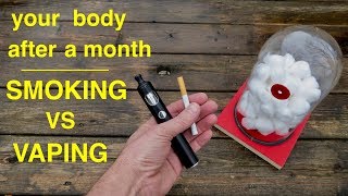 How Smoking vs Vaping Affects Your Lungs ● You Must See This [upl. by Nagiam]