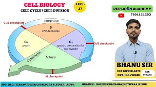 Cell Division at Molecular Level ll G1 S Transition ll P53 ll E3 ligase ll csirnetlifescience [upl. by Teece]