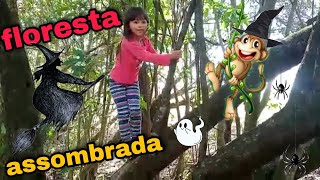 AVENTURA NA FLORESTA COM NICOLLY E SUAS CACHORRINHAS [upl. by Mays]