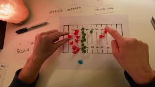 ASMR Trying to Understand and then Explain the Basics of NFL Football  Soft Spoken [upl. by Durr]