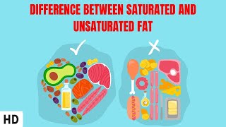 Difference Between Saturated And Unsaturated Fat [upl. by Taber721]