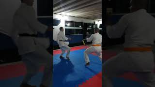 Shotokan VS Kyokushin 2021 [upl. by Kynthia413]