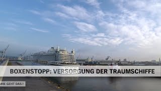 Versorgung und Abfertigung der TraumschiffeKreuzfahrtschiffe im Hafen Hamburg  NDR Doku [upl. by Hutchison]