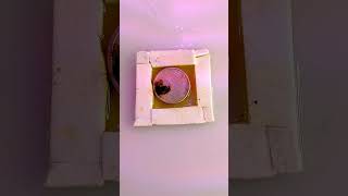 Arabic 1 dirham coin cleaning progress  foryou coin experiment science products shorts [upl. by Kerrison]