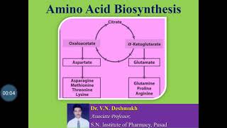 Amino acids Biosynthesis [upl. by Notfa267]