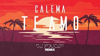 Calema  Te Amo DJ Youcef Remix Lyrics [upl. by Cud918]