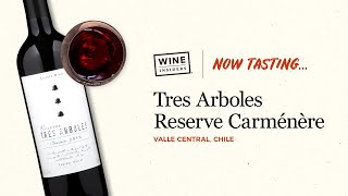 Tres Arboles Reserve Carménère Wine Review [upl. by Keviv461]