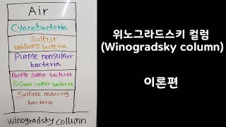 위노그라드스키 컬럼Winogradsky column 이론편 [upl. by Oyek]