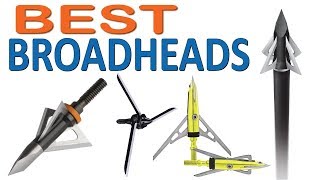 7 Best Broadheads of 2020  Top 7 Broadheads Reviews 2020 [upl. by Arracat736]