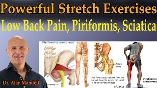 4 Powerful Stretch Exercises for Low Back Pain Piriformis Sciatica  Dr Mandell [upl. by Nezam]