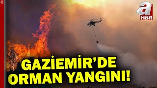 İzmir Gaziemirde çıkan orman yangınına havadan ve karadan müdahale  A Haber [upl. by Eseerahs]