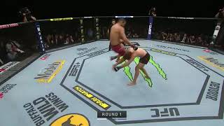 UFC 239NOCAUTE DE JORGE MASVIDAL EM 5 SEGUNDOS [upl. by Bibbye]