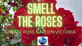 SMELL THE ROSESstate rose garden  TOURIST DESTINATION [upl. by Kinnon]