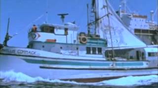 Greenpeace Voyage to Save the Whales Trailer [upl. by Etteniuq]