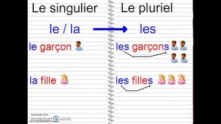 Cp grammaire  Le singulier et le pluriel Reconnaître la marque du pluriel [upl. by Rugen]