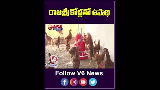 Rajashri Breed Poultry Farming Unlocking Dual Income From Eggs And Meat  V6 Weekend Teenmaar [upl. by Mirielle]