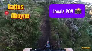 Rattus MTB📍Aboyne Pov [upl. by Sidell]