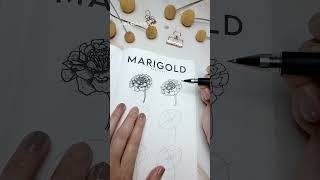 How 2 draw a MARIGOLD [upl. by Nosmirc]