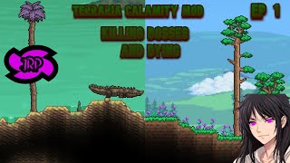 Modded Terraria Calamity EP 1 Killing Bosses and DIEING ALOT [upl. by Rehpotsirk]