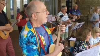 Much Wenlock U3A Ukulele Band June 2018 [upl. by Beverle]