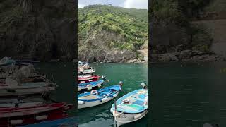 Why You Should Visit Cinque Terre Before It Disappears [upl. by Schaumberger55]