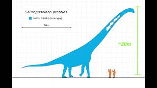 Sauroposeidon the tallest dinosaur ever [upl. by Jallier]