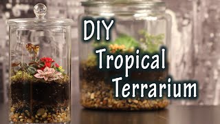 DIY Tutorial On How To Make A Terrarium For Plants In A Jar [upl. by Nickolaus]