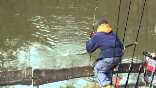 TFT Trout Fishing Tackle Tremarella Glas Montage  TFT Tremarella Ruten Angeln [upl. by Ludvig]