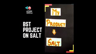 Class 12 BST project on salt  Marketing management project on salt [upl. by Bortman]