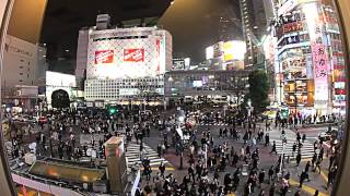 Tokyo Shibuya Crossing Worlds Busiest Intersection  Timelapse HD  ooAsia [upl. by Ahtram755]