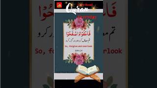 Quran Ayat  The Holy Qur’an  life changing words  quran in urdu translation  Quran [upl. by Jillana]