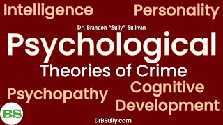 Psychological Theories of Crime  Intelligence Personality Psychopathy Cognitive Development [upl. by Farny277]