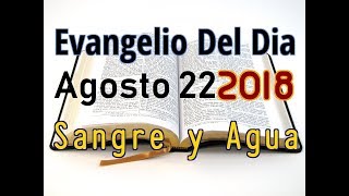 Evangelio del Dia Miercoles 22 Agosto 2018 Como Ser Buenos Pastores Sangre y Agua [upl. by Adnavoj]