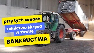 Przy tych cenach zbóż rolnictwo skręca w stronę bankructwa Żniwa 2024 [upl. by Venus]