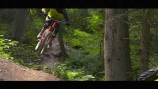 Chatel Bikepark [upl. by Dedie]