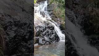 lohas park waterfalls shortvideo viralvideo hongkong fypシ゚viral [upl. by Ydnerb]