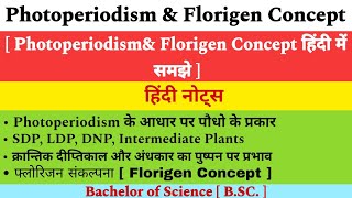 Photoperiodism in Hindi  SDP LDP DNP Intermediate Plants  Florigen Concept  Plant Physiology [upl. by Bevis989]